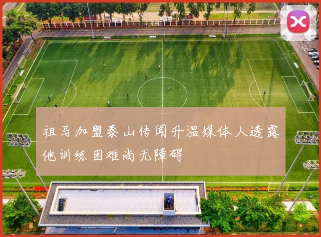 祖马加盟泰山传闻升温媒体人透露他训练困难尚无障碍
