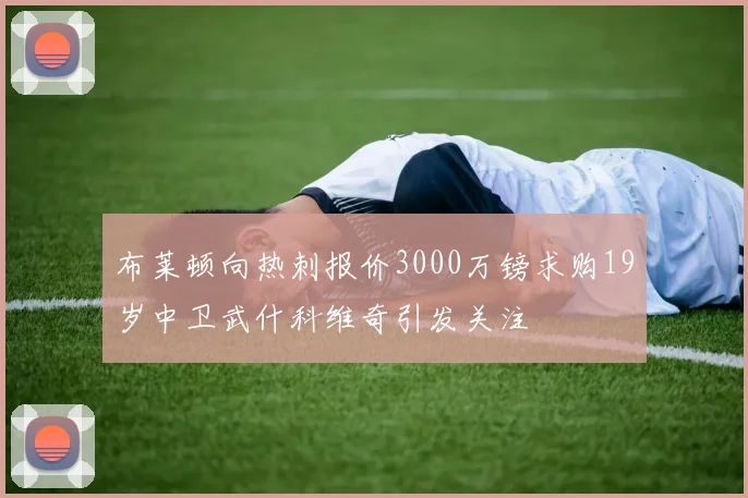 布莱顿向热刺报价3000万镑求购19岁中卫武什科维奇引发关注