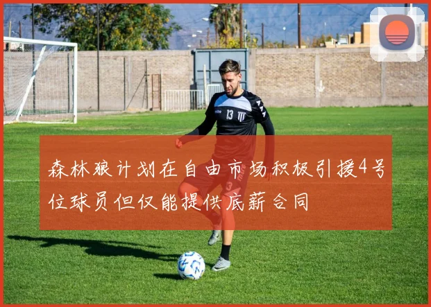森林狼计划在自由市场积极引援4号位球员但仅能提供底薪合同