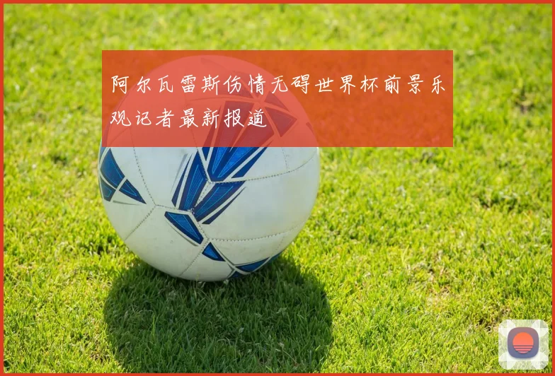 阿尔瓦雷斯伤情无碍世界杯前景乐观记者最新报道